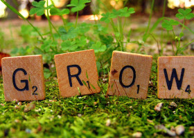 business growth